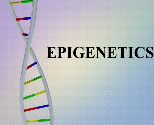 Epigenetics Genetic Concept